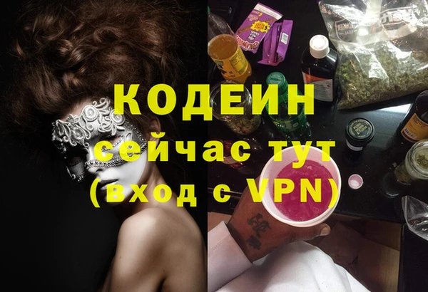 твердый Володарск