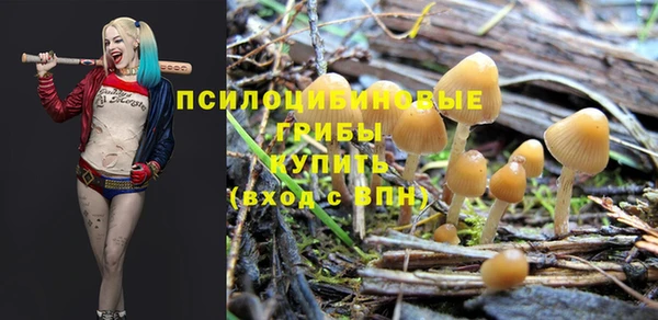 дживик Волоколамск
