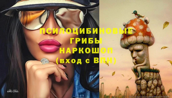 дживик Волоколамск
