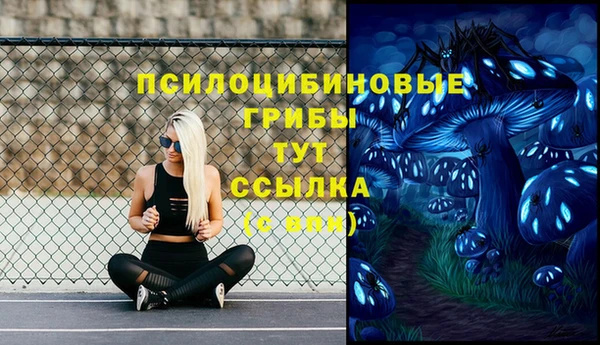 твердый Володарск