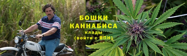 твердый Володарск