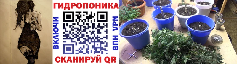 Бошки марихуана White Widow  Мончегорск 